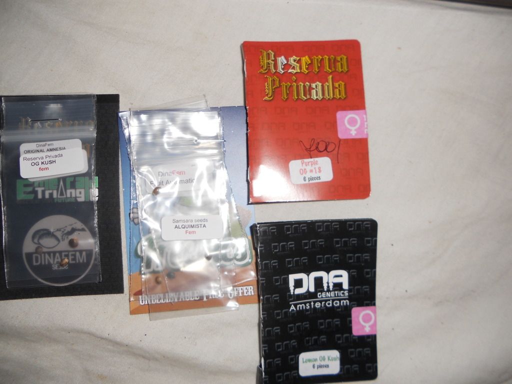 DSCN5182.jpg