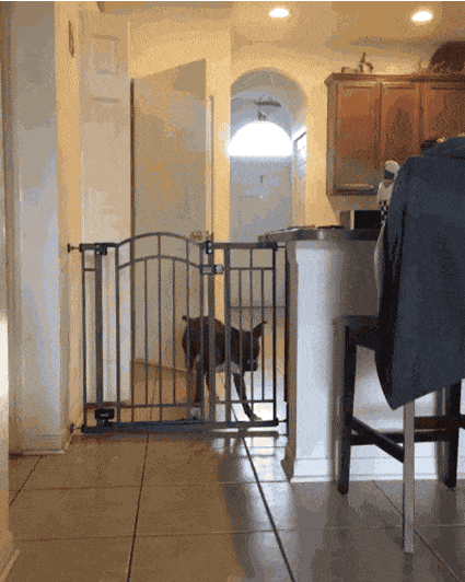 gifs_22.gif