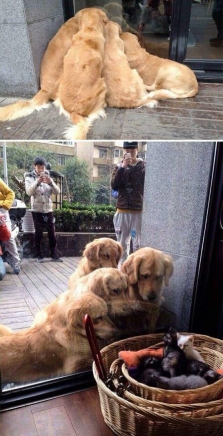 acid_picdump_53.jpg