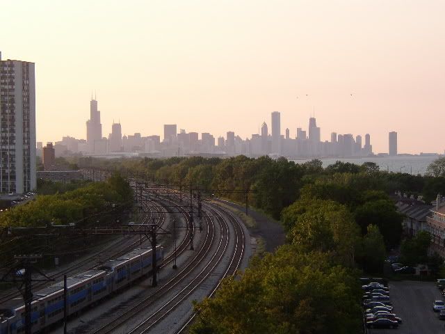 trees3.jpg