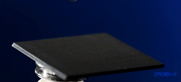 84627971.gif