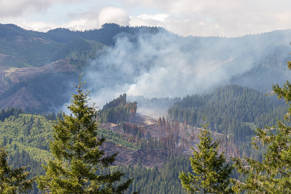 www.tillamookcountypioneer.net