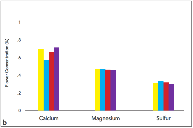 linegraph_b.png