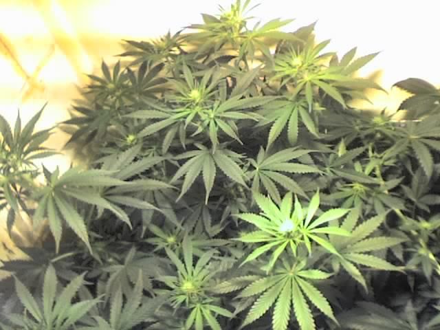 10-25-07_1603.jpg