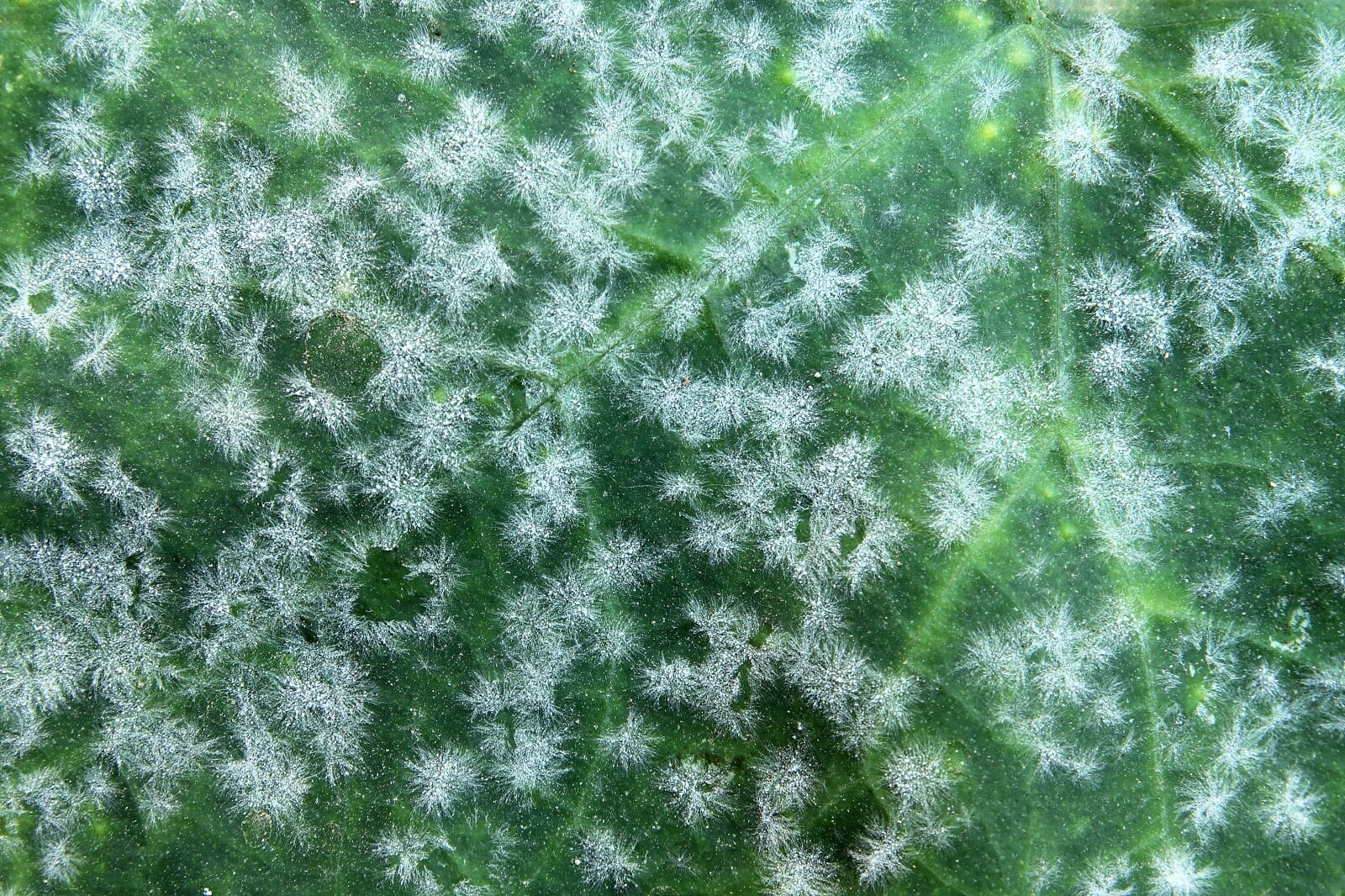 www.questclimate.com