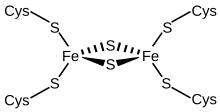 220px-Fe2S2.svg.png