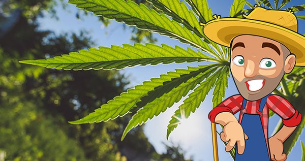 www.ilovegrowingmarijuana.com