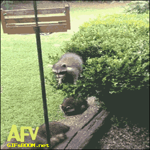 S6Vo8qJ.gif