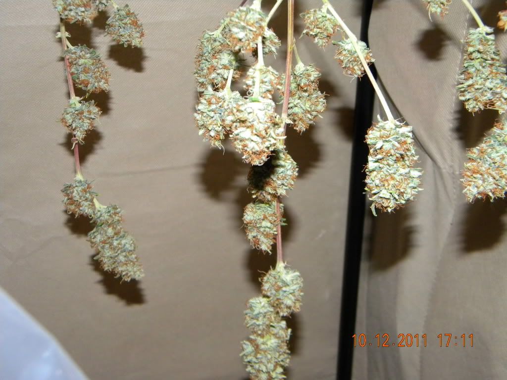 DSCN2860.jpg