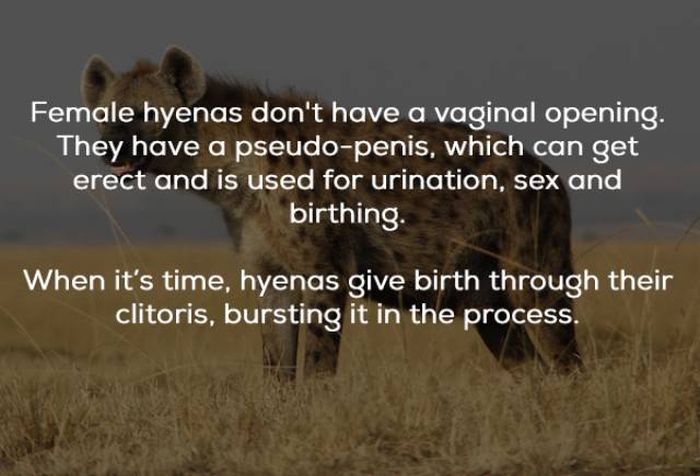 some_very_naughty_facts_01.jpg