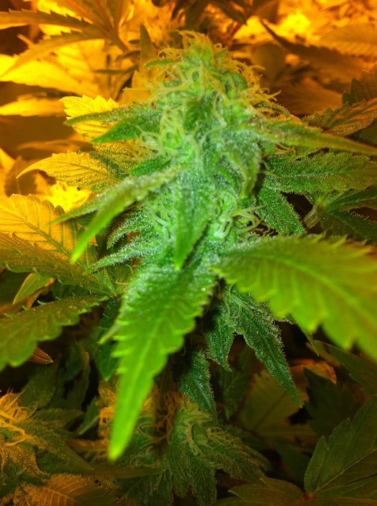d35c8e35.jpg