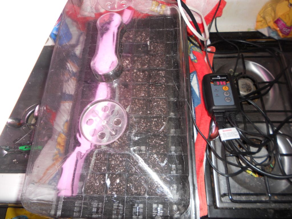 DSCN5215.jpg