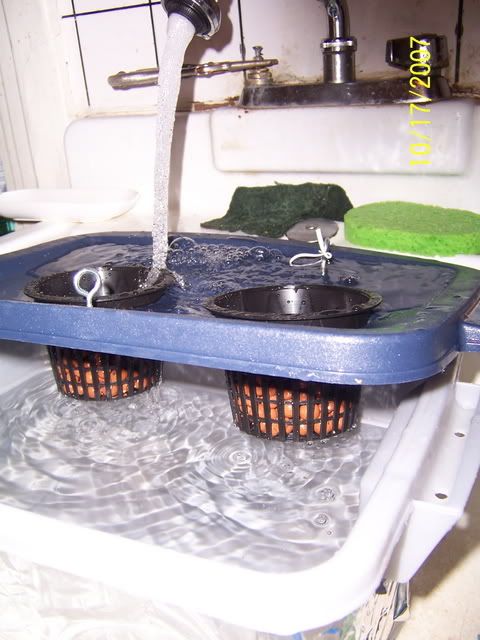000_1690.jpg