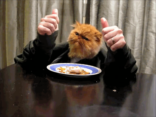 tumblr_lia2xxP5xS1qa20zpo1_500.gif