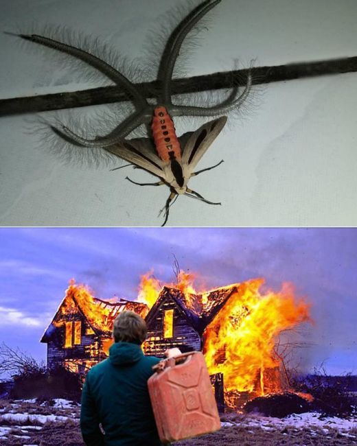 acid_picdump_70.jpg