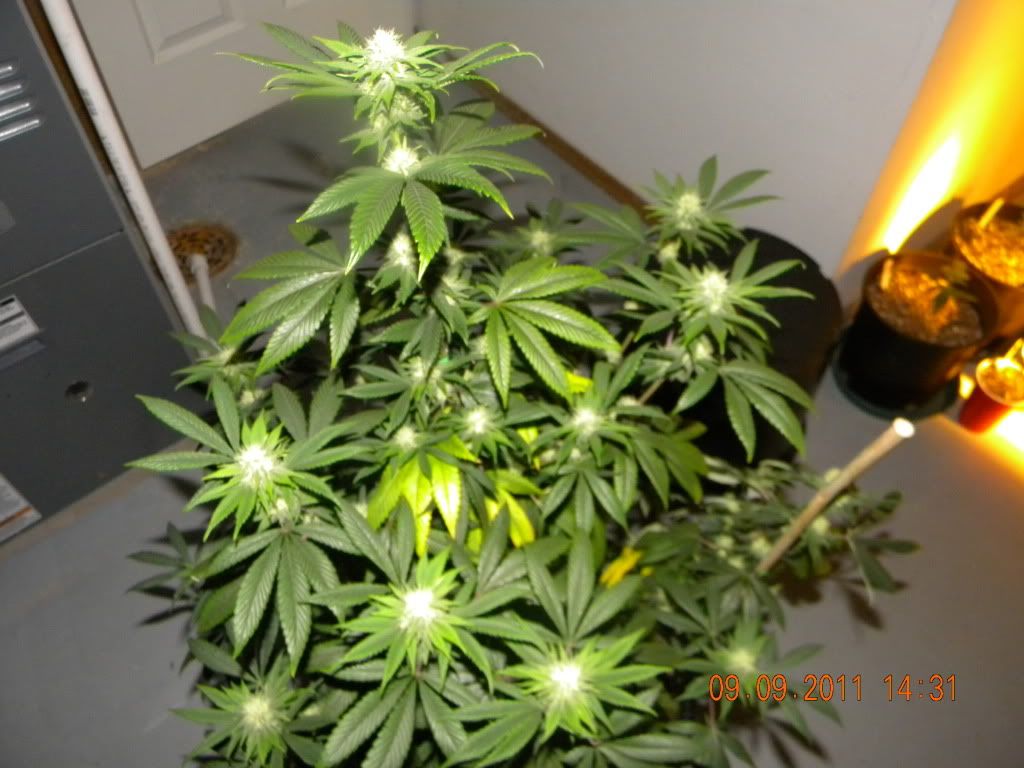 DSCN2728.jpg