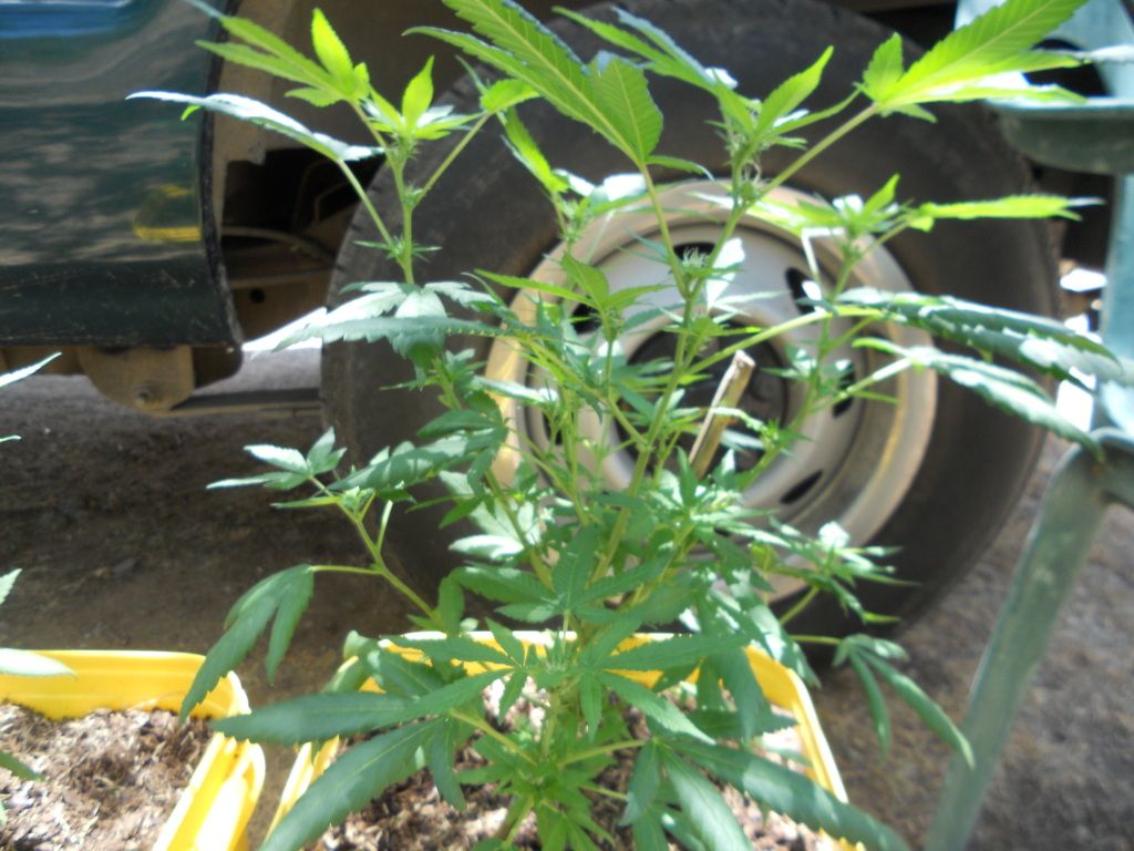DSCN4903.jpg