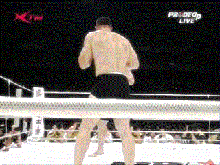 LHK2.gif