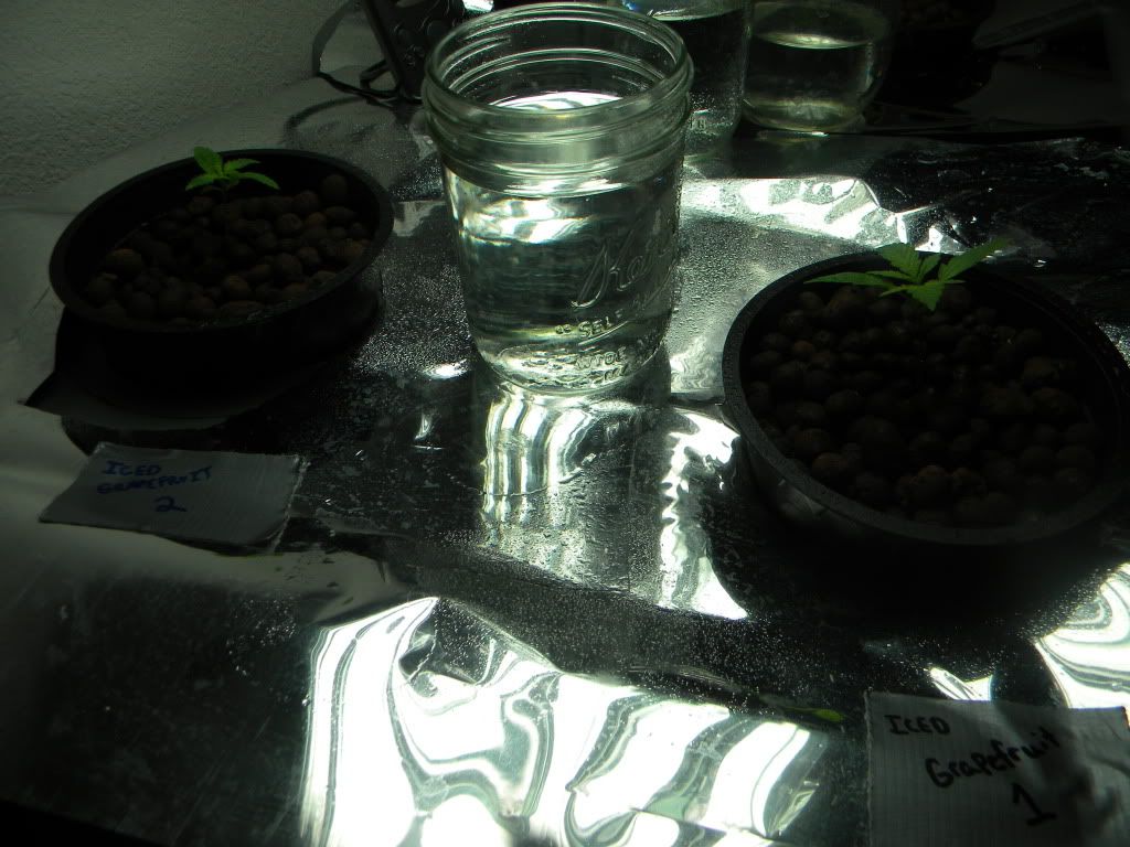 DSCN0866.jpg