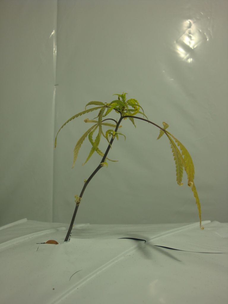 DSC04102.jpg