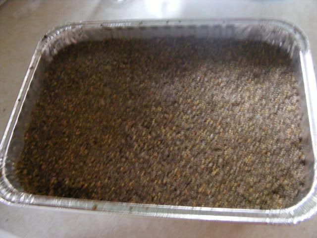 Picture020.jpg