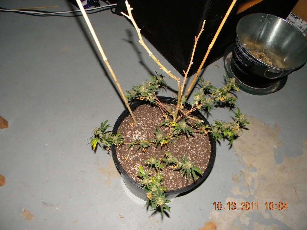 DSCN2880.jpg