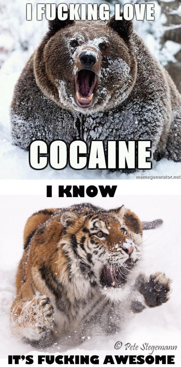 Animals-Fucking-Love-Cocaine.jpg
