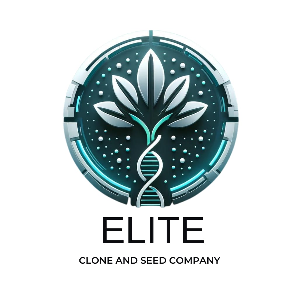 seedsherenow.com
