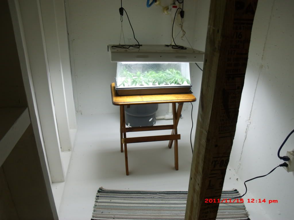 GEDC1272.jpg