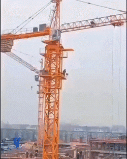 gifs_19.gif