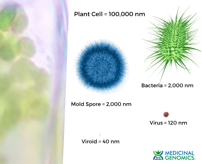 medicinalgenomics.com