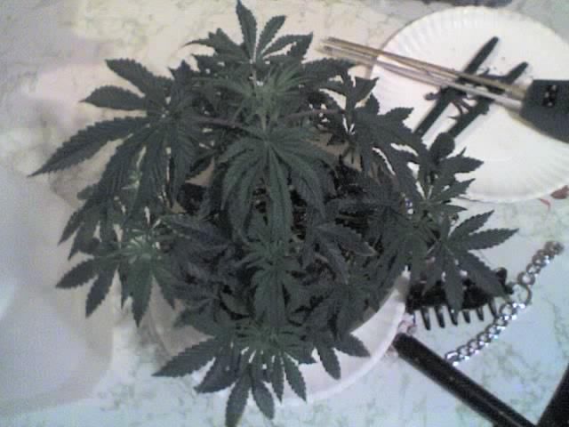 09-18-07_1624.jpg