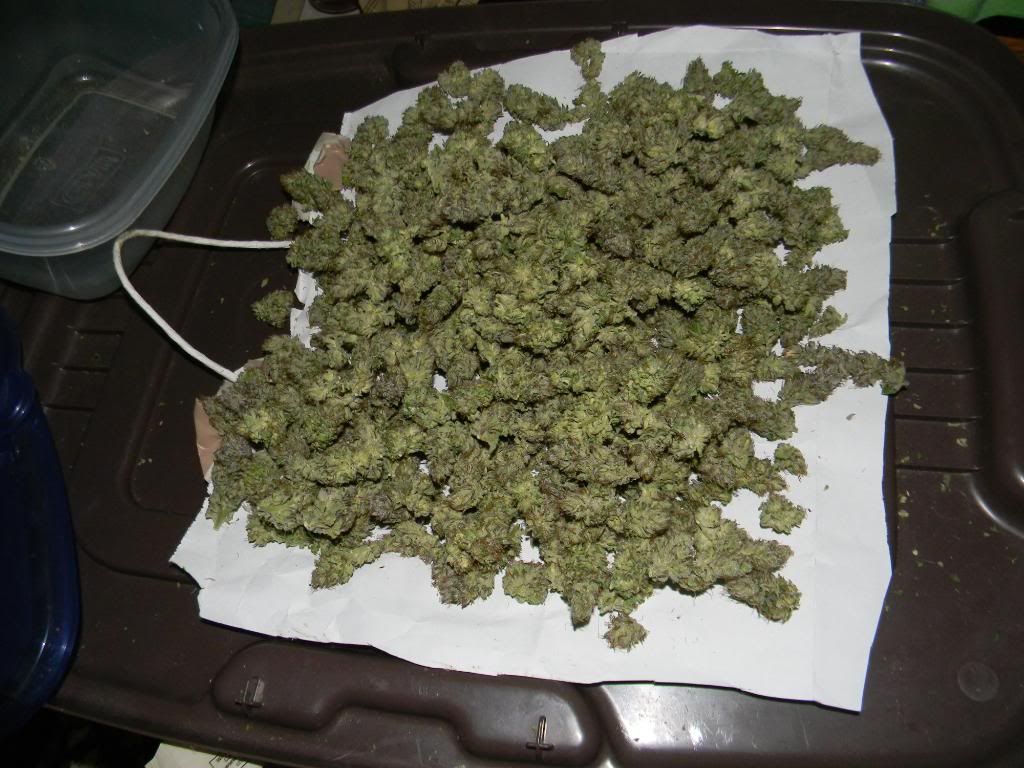 DSCN0969.jpg