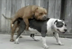 z360544301.gif
