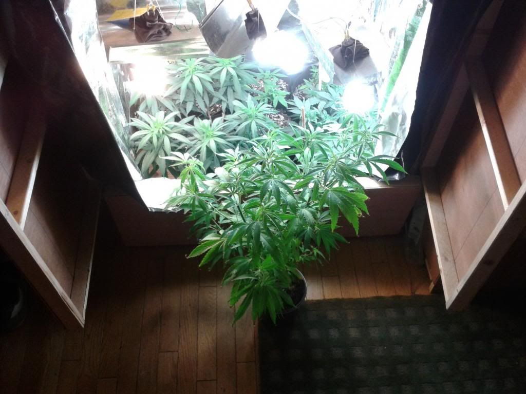 WP_000709.jpg