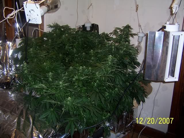 000_2140.jpg