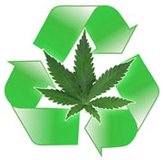 www.growweedeasy.com