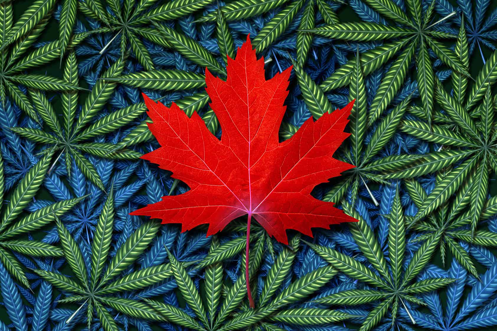www.cannabisgrowingcanada.com