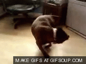 RWIAj.gif
