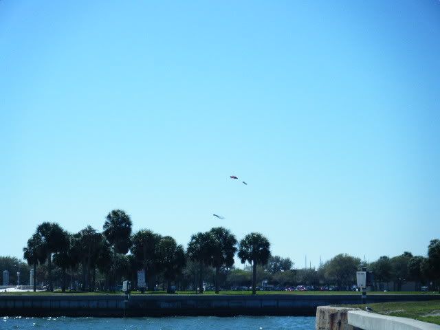 DSCF0484.jpg