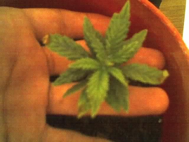 04-18-07_1502.jpg