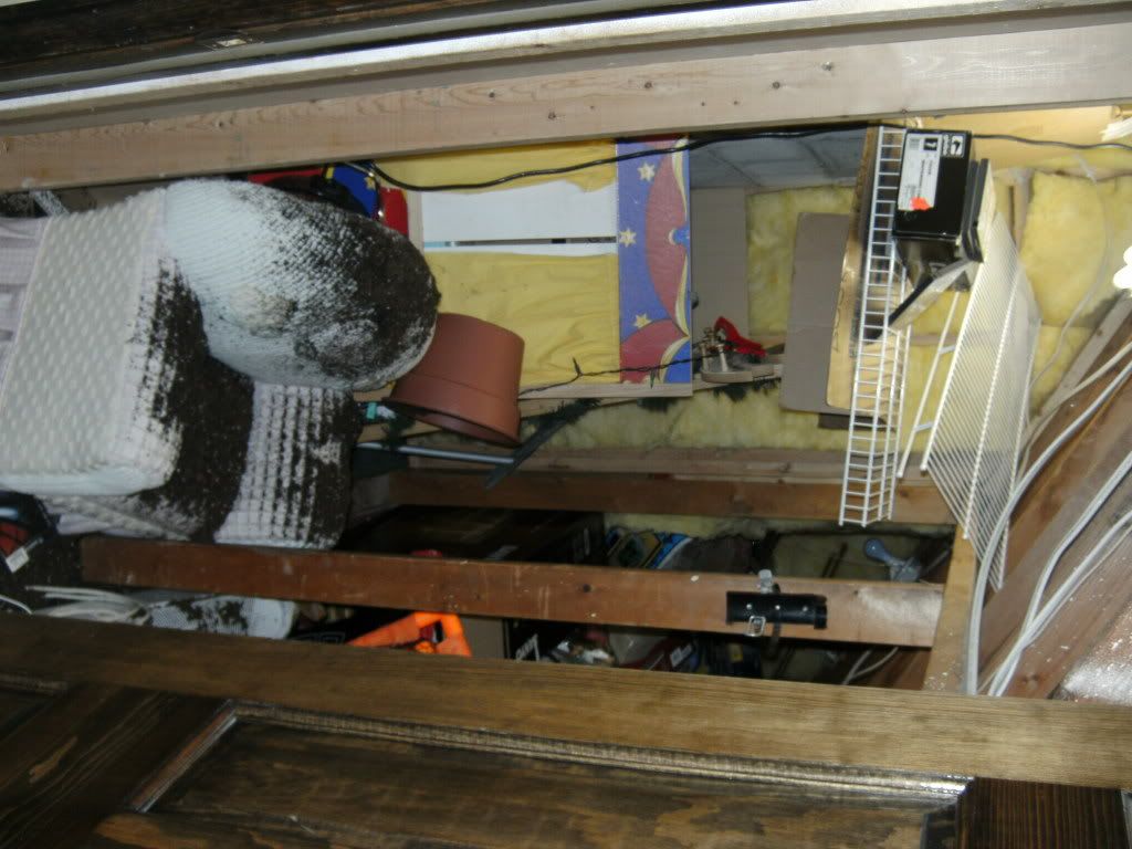 BILD0538.jpg