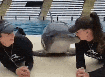 gifs_15.gif