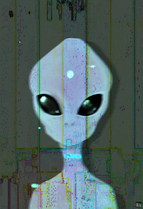 tumblr_nsn1xcdkdA1tqtfrjo1_500.gif