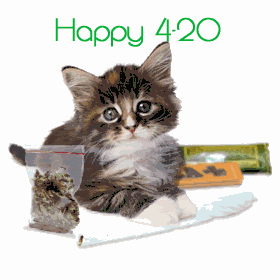 fd3d3de2c9031490c0d022f1bb31371d.gif