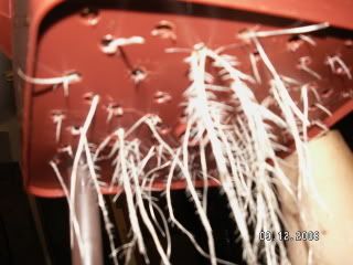 PICT0417.jpg