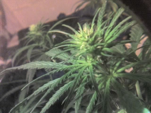 10-25-07_2020.jpg