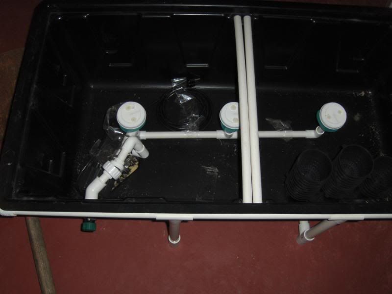 HPIM0213.jpg