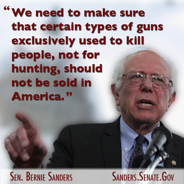 Bernie-GunControl2.png