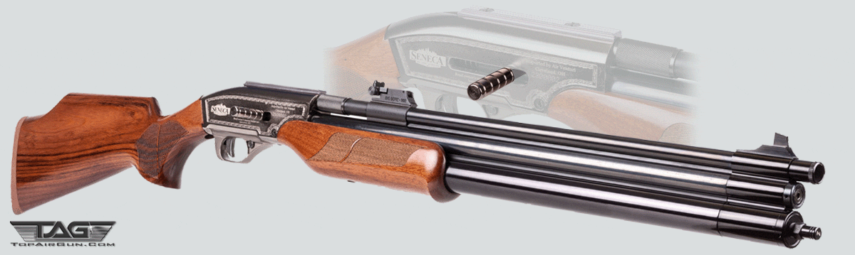 topairgun.com